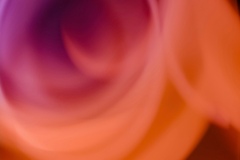 steve-a-johnson-4imAShZ-4EY-unsplash