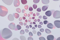 steve-a-johnson-HOFbetxACms-unsplash