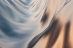 steve-a-johnson-IzlHm4cLdW4-unsplash