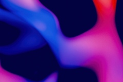 steve-a-johnson-Tlt6iav4r7c-unsplash