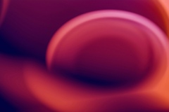 steve-a-johnson-UpvSc_yRYp8-unsplash