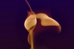 steve-a-johnson-Wrfm23jdX5s-unsplash