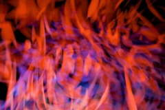 steve-a-johnson-e3OQIRJ6brQ-unsplash