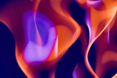 steve-a-johnson-nwNL7TxFruo-unsplash